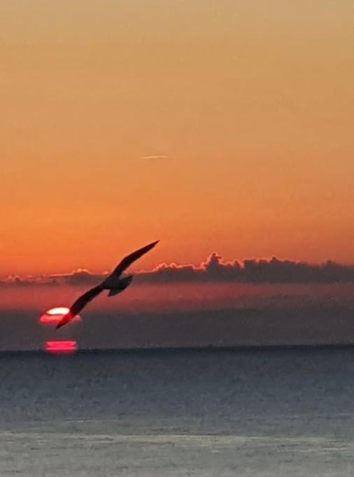Le Chant Des Vagues Sete Bagian luar foto
